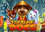 Fortune Dogs